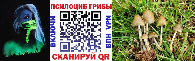 что такое   Спас-Клепики  Галлюциногенные грибы GOLDEN TEACHER 