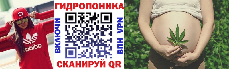 Бошки марихуана план  наркота  Спас-Клепики 